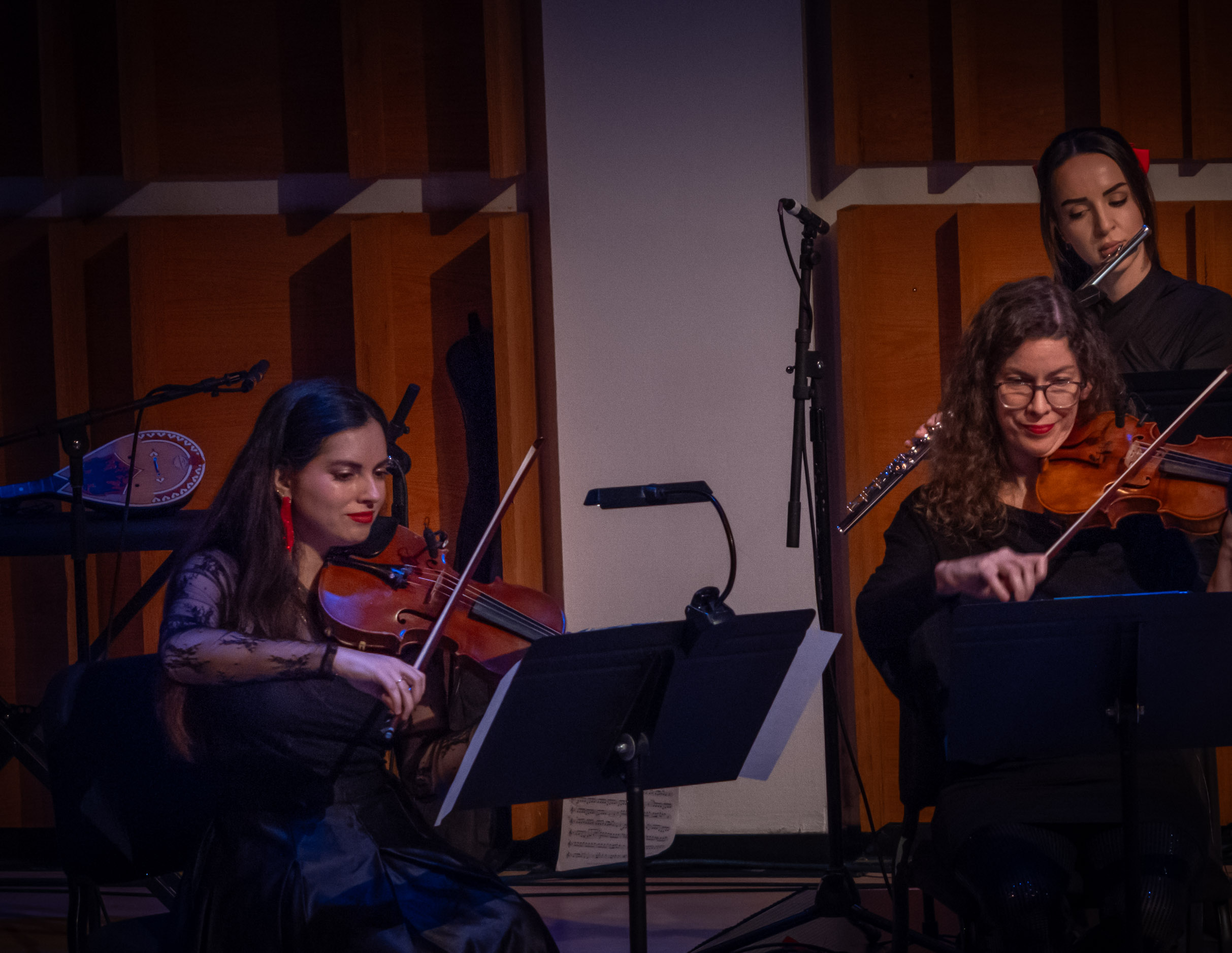 Concert photo 5